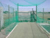 Cricket Nets