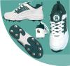 Full Spike Shoe-CA