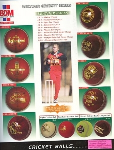 Leather Cricket Balls